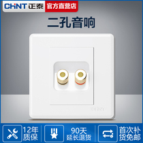 Positive Thai Sound Socket Panel 86 Type Concealed Sound Power Socket Sound Socket socket Two-wire socket Audio