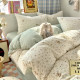Upgraded thickened pure cotton four-piece set