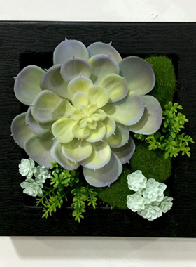 立体田园家居壁挂件仿真植物画框