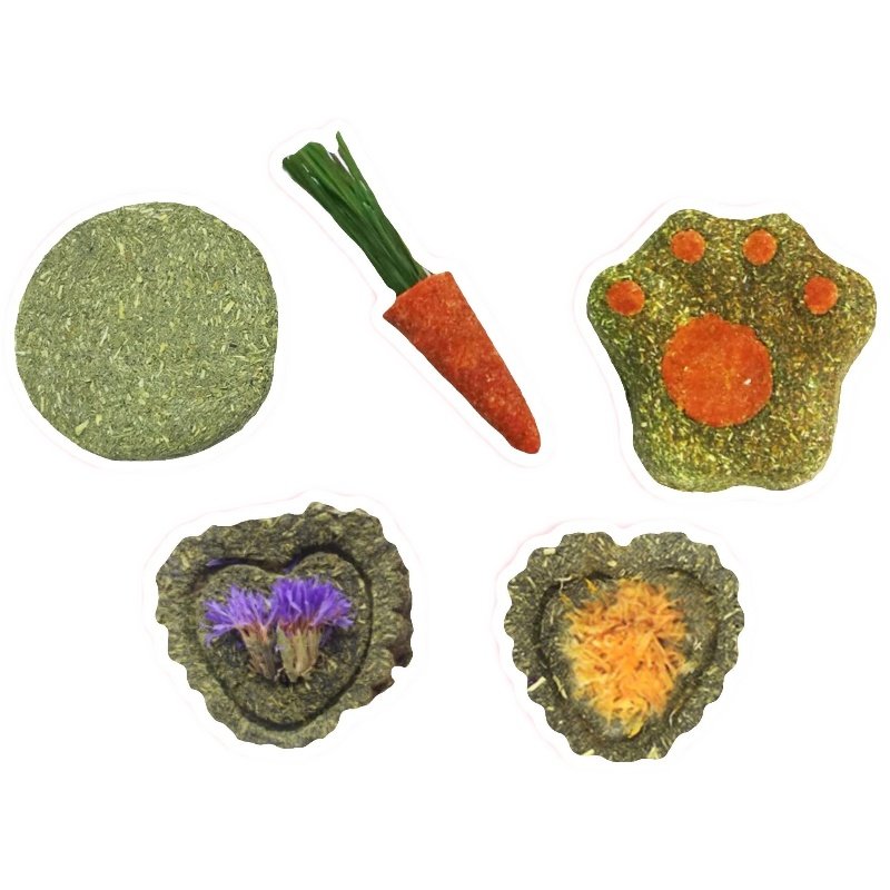 【一只笨鼠】仓鼠金丝熊花枝鼠兔子磨牙首宿胡萝卜降火草饼苹果枝,淘宝优惠券,粉丝福利购,淘宝优惠卷