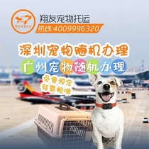 Guangzhou Shenzhen Pet Domestic International Consignment National Service Cat Dogs Solo Air Transport Random Formalities Special Car Transport