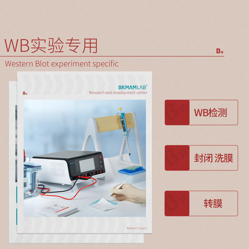 比克曼生物WB专用镊子实验专用碳纤维镊子WB转膜镊子实验室防静电 - 图2