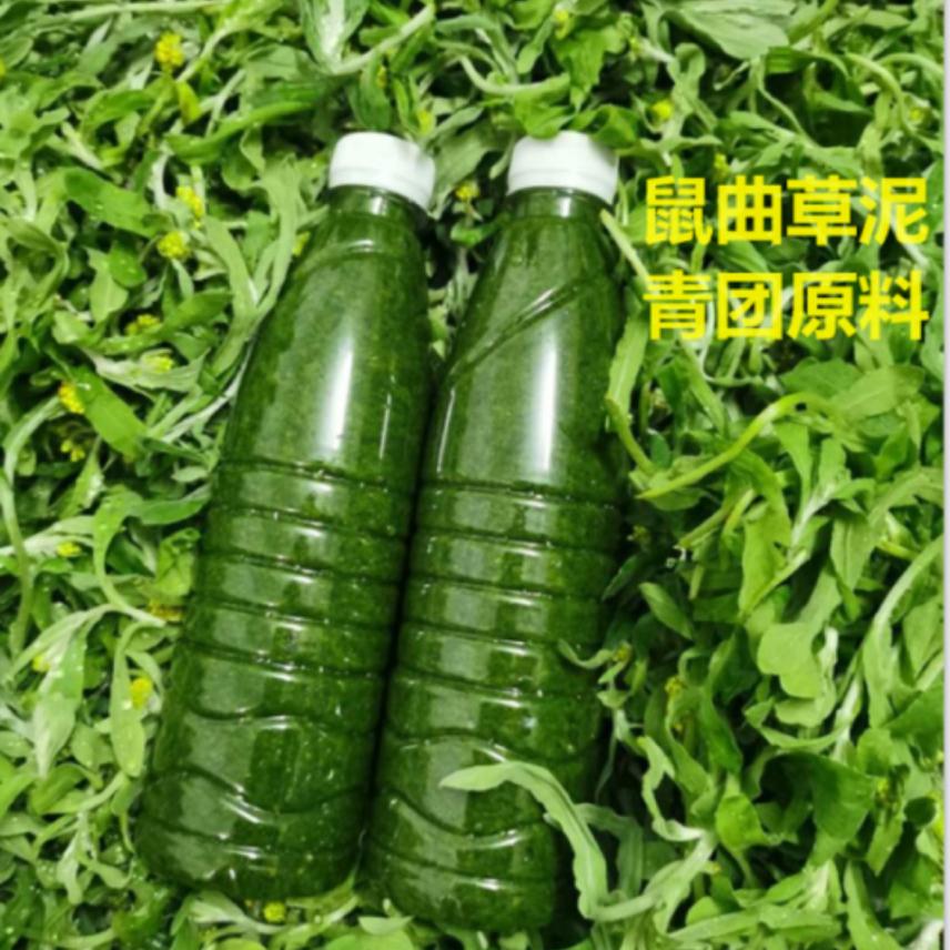 鼠曲草新鲜野生清明草青团艾叶液田艾粑粑现榨原料汁500ml4件包邮 - 图0