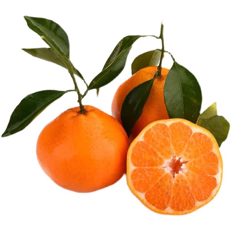 【鲜薇】四川春见耙耙柑新鲜应季水果当季橘子桔子孕妇水果酸甜,淘宝优惠券,粉丝福利购,淘宝优惠卷