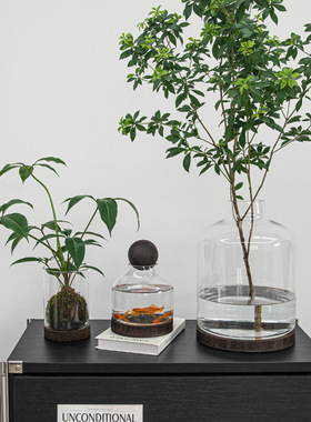 Edelweiss轻奢木托玻璃花瓶高级感 插花摆件马醉木 鱼缸 装饰