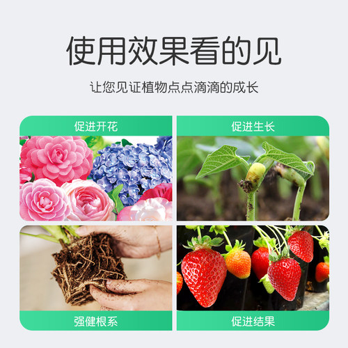 骨粉花肥料园艺花肥促花养花开花脱脂植物盆栽绿植花卉通用型有机 - 图2