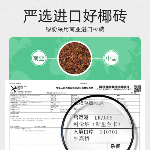 椰糠砖营养土进口脱盐椰砖椰壳园艺土养花通用型多肉盆栽家用肥料 - 图0