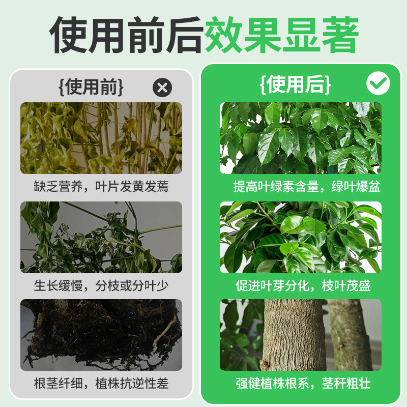 幸福树专用肥料营养液发财树叶子干枯落叶防掉叶急救复合肥花肥,淘宝优惠券,粉丝福利购,淘宝优惠卷