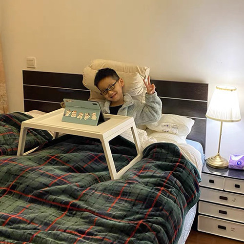 甄家宜床用餐架家用可折叠床上餐桌宿舍笔记本电脑桌懒人学习书桌 - 图2