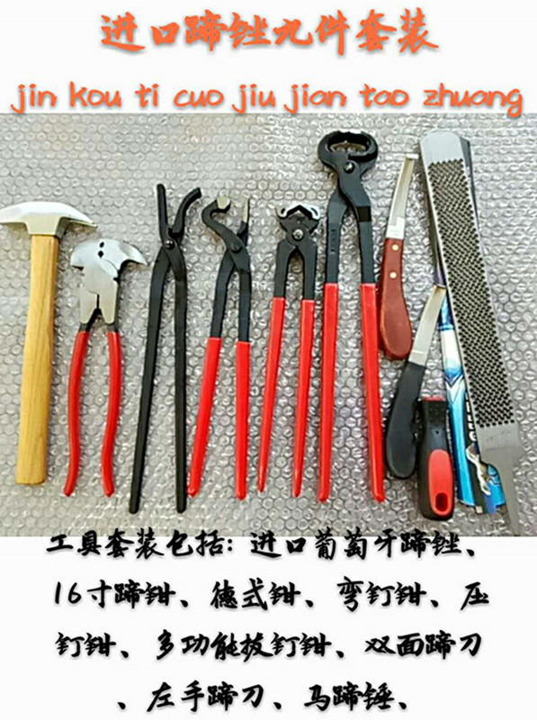 包邮进口剪蹄钳 不锈钢马蹄钳平口钳修蹄钉掌工具马具用品 马蹄剪 - 图3