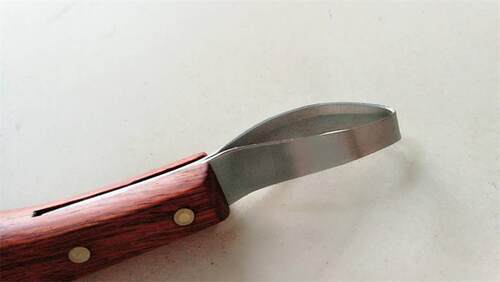 马蹄刀 修蹄刀马具用品削蹄刀抠蹄马术马房用具 修蹄工具 - 图2