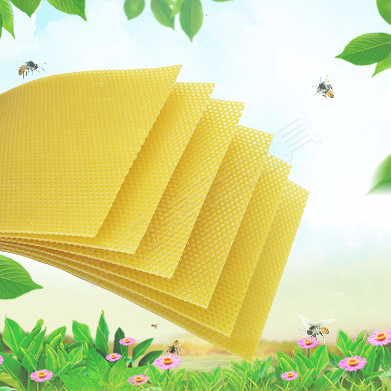 中蜂巢础片深房蜂巢蜂蜡蜜蜂箱养蜂工具巢脾巢基36片怕怕巢础巢皮