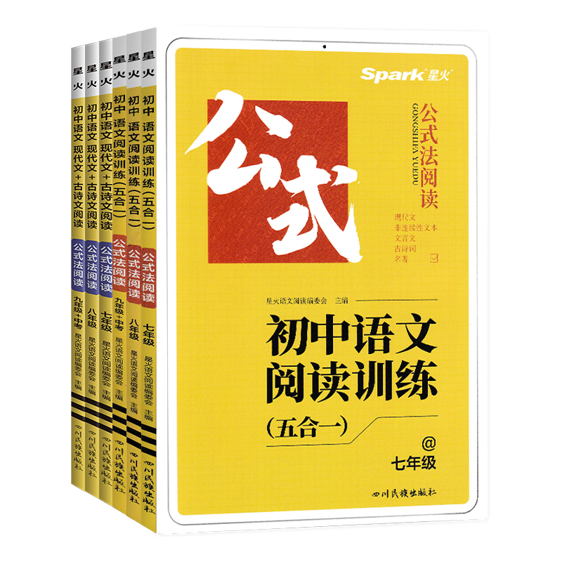 2024星火初中语文阅读理解专项训练书七八九年级中考现代文古诗词文言文课外阅读答题模板技巧公式法初一二三任选真题模拟强化练习-图3