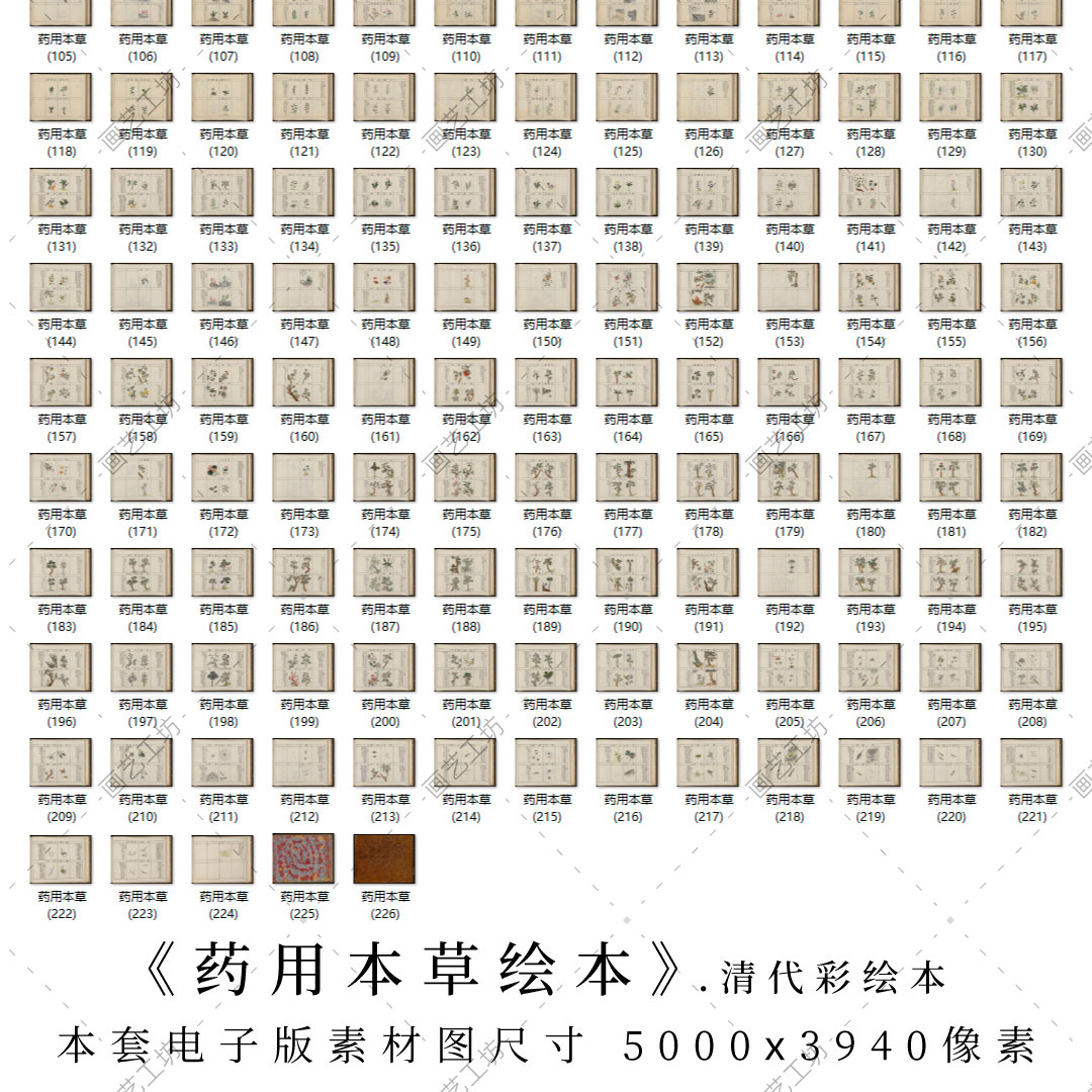 药用本草绘本清代古本古籍资料中草药手绘彩图画册药材彩绘图 - 图1