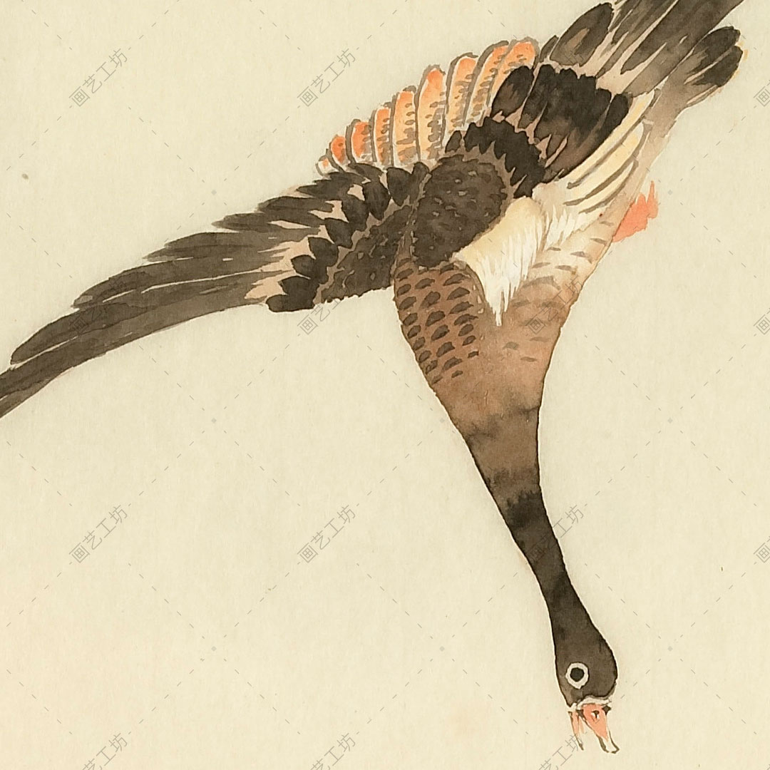 毛诗品物图考册诗经配图彩绘插画古本书花鸟国画瑞兽临摹高清大图