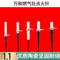 ten thousand and ignition needle ceramic with wire liquefied gas furnace gas fighting fire induction needle universal flush fitting accessories