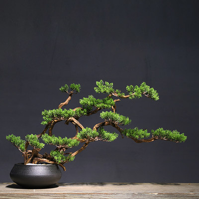 新中式禅意迎客松花盆盆景摆件枯山水微景观绿植盆栽家居装饰品 虎窝淘