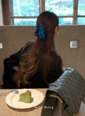 显白雀蓝系~亮色系鲨鱼夹抓夹