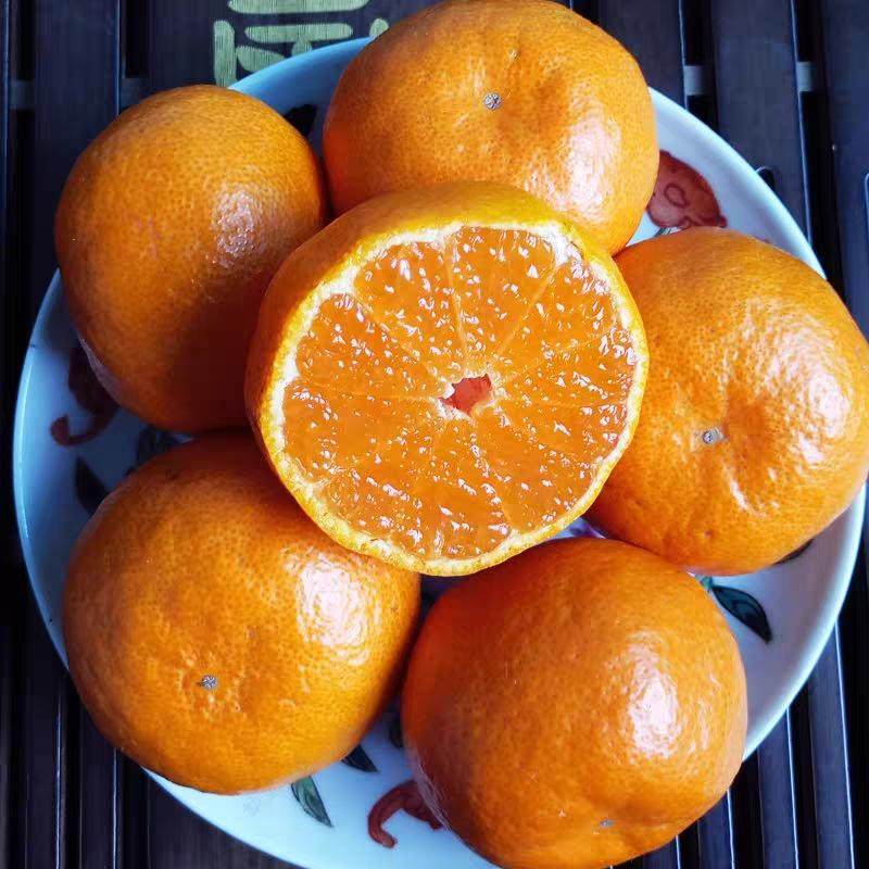 正宗临海涌泉蜜桔早熟宫川高山现摘现发当季橘子10斤包邮现货,淘宝优惠券,粉丝福利购,淘宝优惠卷