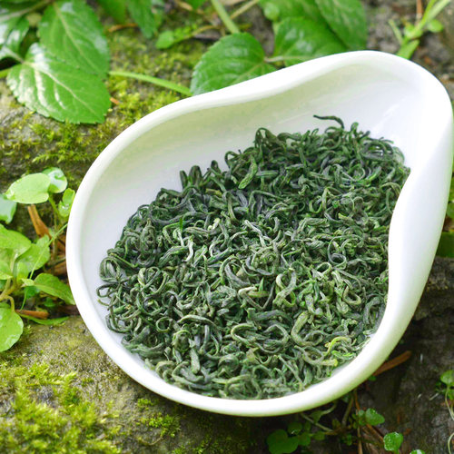 会明春 今年新茶云雾绿茶500g 散装毛尖茶蒙顶山茶毛峰日照茶叶 - 图0