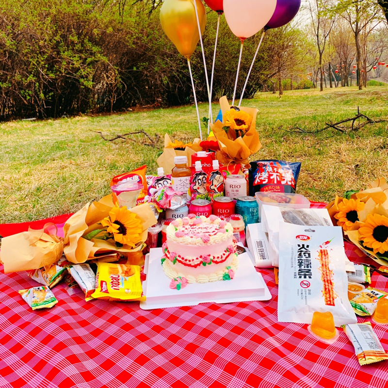 户外便携野餐垫ins风非必备野炊布用品网红防潮垫子防水春游地垫