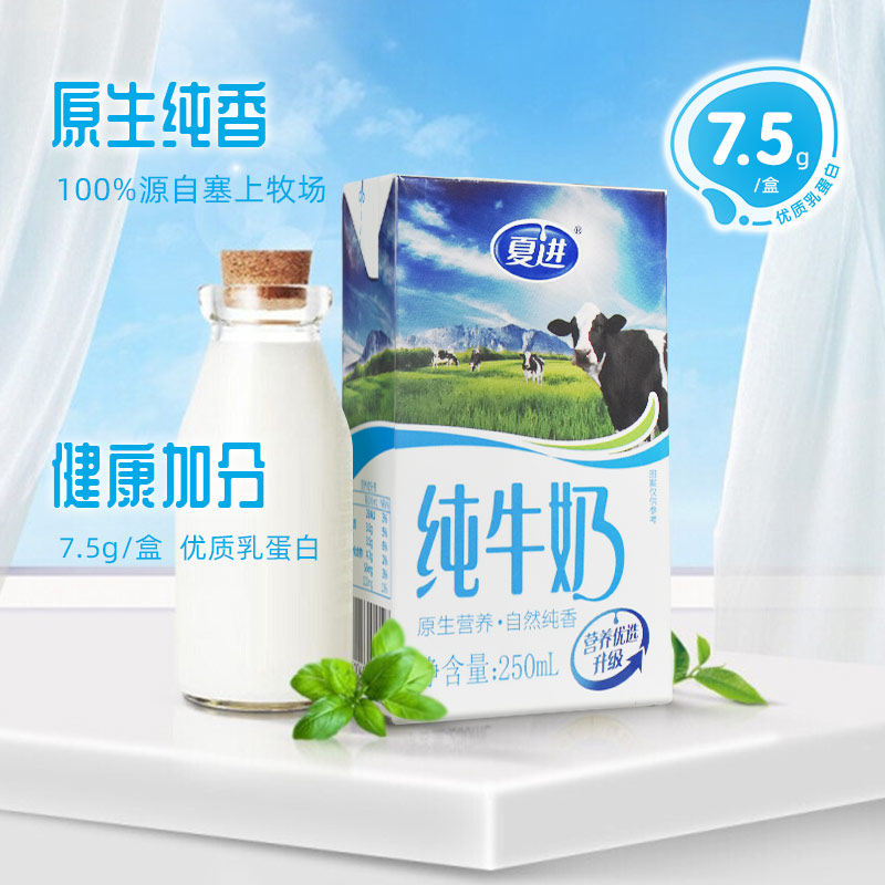 夏进纯牛奶整箱20盒装250ml宁夏儿童中老年孕妇学生早餐营养纯奶_虎窝淘