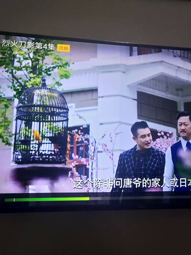 鸟笼八哥鹦鹉 画眉l鹩哥相思虎皮玄风鹧鸪笼竹鸡鸟笼大号装饰鸟笼 - 图3