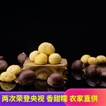 2023 Zunization to the West Chinas chestnut Yanshan Wild Great Wall Fresh Beijing Dongsheng Ganyi Tang Mountain Special Oil Chestnut 3 catties