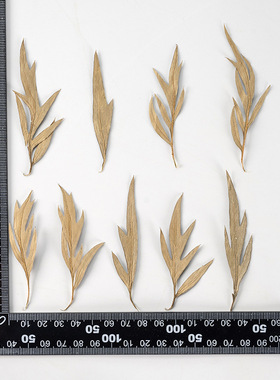 干花押花水晶滴胶diy材料填充