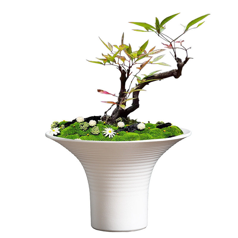 简约禅意陶瓷盆景花器现代大号高脚苔藓蕨类绿植文竹兰花水培花盆,淘宝优惠券,粉丝福利购,淘宝优惠卷