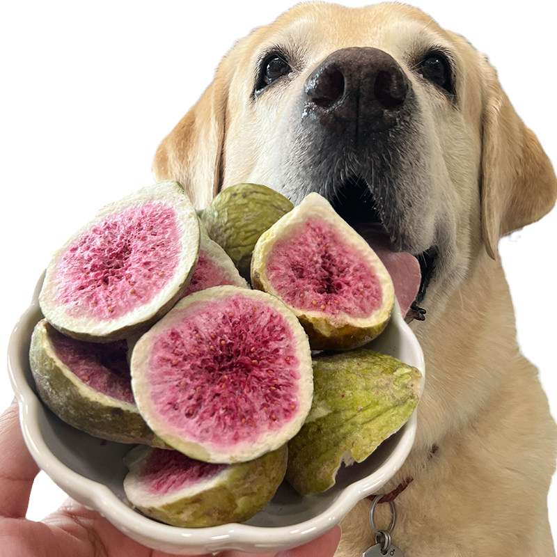 宠物零食冻干果蔬无花果洁齿磨牙棒耐咬训犬奖励幼成犬拌狗粮 1罐,淘宝优惠券,粉丝福利购,淘宝优惠卷