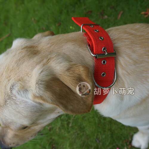 宠物脖圈拉布拉多金毛德牧项圈狗圈颈圈中型犬大型犬加厚脖套包邮 - 图1