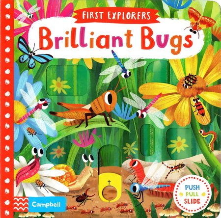 英文原版绘本 First Explorers Brilliant Bugs小小探索家聪明的虫子儿童启蒙机关活动操作纸板书_虎窝淘