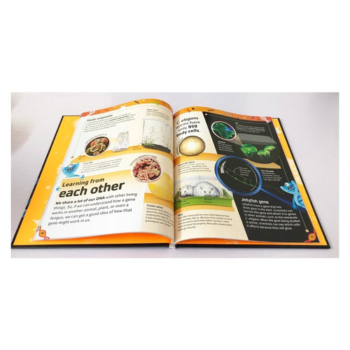 英文原版 DK The Body/Brain/DNA/Bacteria Book 4册 人体器官/抵抗力 课外学习科普阅读精装儿童百科 身体运作知识 - 图2