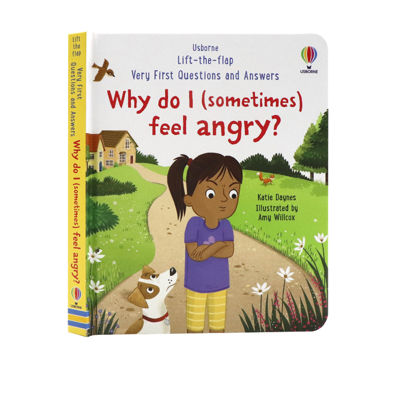 英文原版 Usborne Very First Questions and Answers: Why do I(sometimes) feel angry?为什么我（有时）会感到愤怒翻翻书-图3