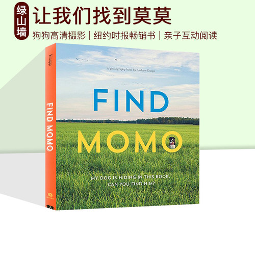 Let'S Find Momo 寻找莫莫 狗狗摄影书 Let's Find Yaya and Boo on the Go风景摄影书 Andrew Knapp互动游戏学习书 科普百科绘本 - 图0