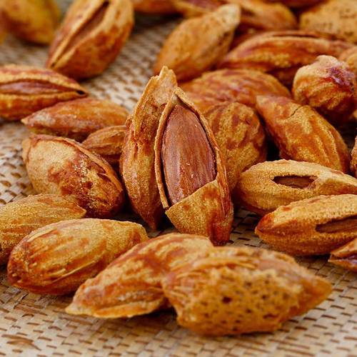 500g巴达木Almond新疆特产带核杏仁干果干货即食果仁-图0