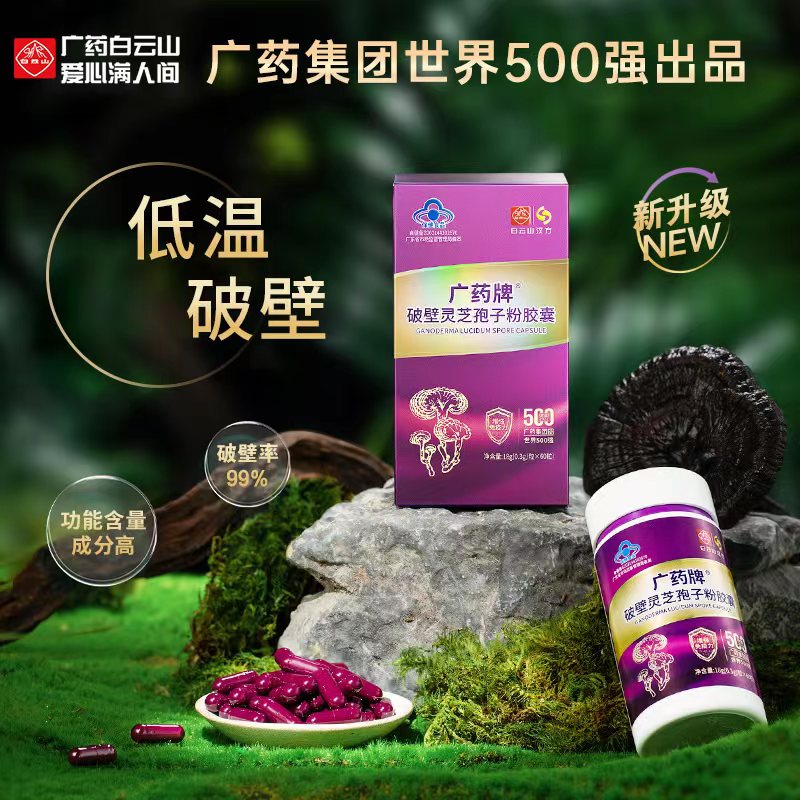 【周期装】白云山汉方广药牌破壁灵芝孢子粉胶囊0.3g*60粒/盒 - 图2