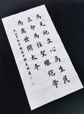 为天地立心，为生民立命书法田楷欧楷毛笔字书法定制手写真迹字画