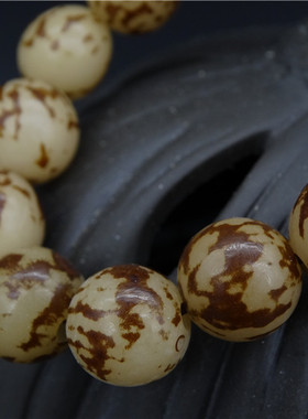 天然花根菩提子太阳子原籽菩提根