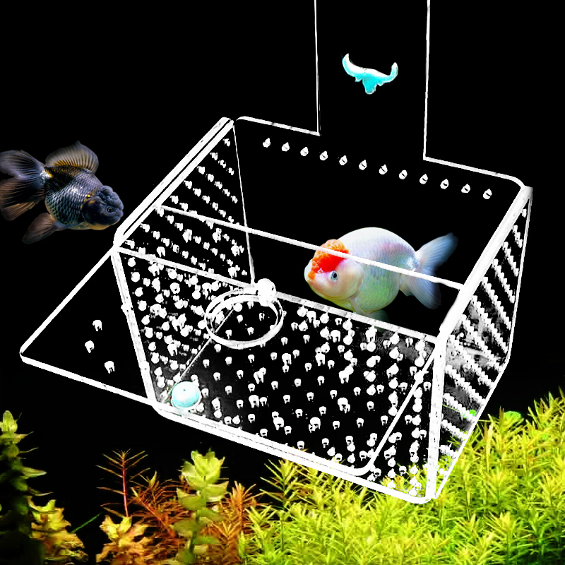 鱼缸隔离盒保护小鱼悬浮式亚克力水族饲养箱大小号孔雀斗鱼苗孵化-图1