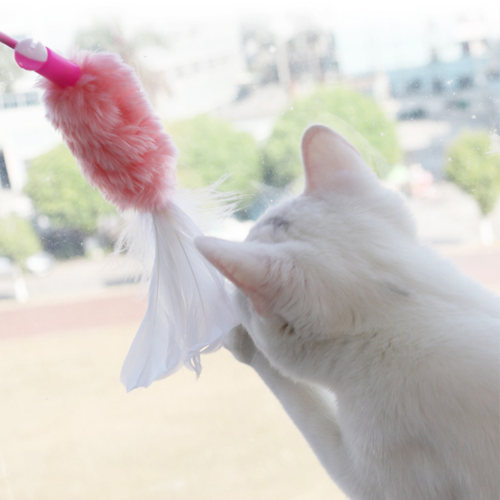 日本Petio派地奥逗猫棒长杆 羽毛带铃铛小猫仙女棒自嗨解闷猫玩具 - 图2