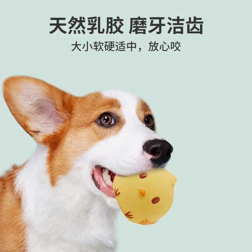 Petio派地奥乳胶发声狗狗玩具耐咬磨牙小型犬幼犬狗玩具耐咬 - 图2