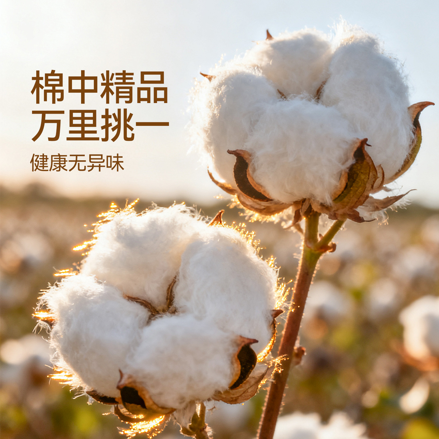 魔幻厨房馒头包子蒸笼布蒸笼垫子全棉蒸布家用纱布笼屉布不粘蒸锅 - 图2