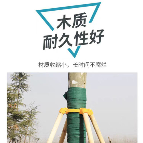 树木支撑杆苗木杉木杨木松木支撑架绿化防风固定架套杯三四脚架 - 图1