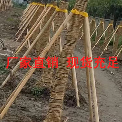 树木支撑杆苗木杉木杨木松木支撑架绿化防风固定架套杯三四脚架 - 图2