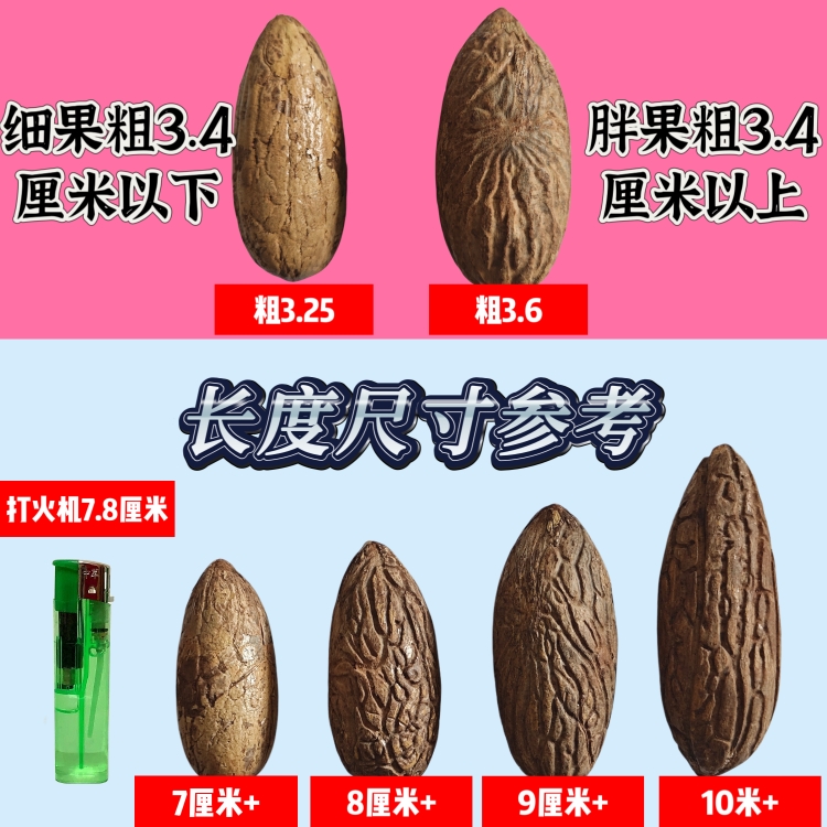 千眼菩提子原籽大果绿果超大果文玩手把件饰品礼物纯天然带皮菩提-图2