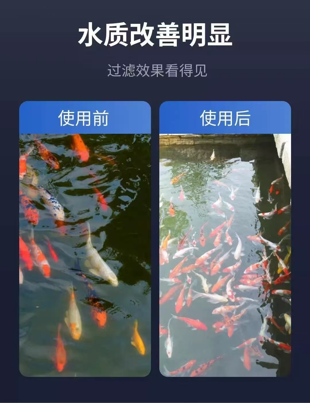智能转鼓微滤机鱼池周转箱过滤水循环系统自动反冲洗水产专用,淘宝优惠券,粉丝福利购,淘宝优惠卷