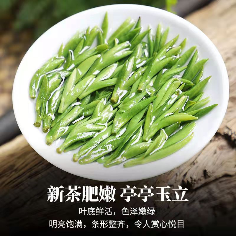 2024明前绿茶正宗特级黄山毛峰新茶嫩芽罐装250g500g头采茶悸沁园 - 图2