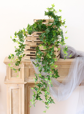 花卉尤加利绿叶橄榄枝家居装饰